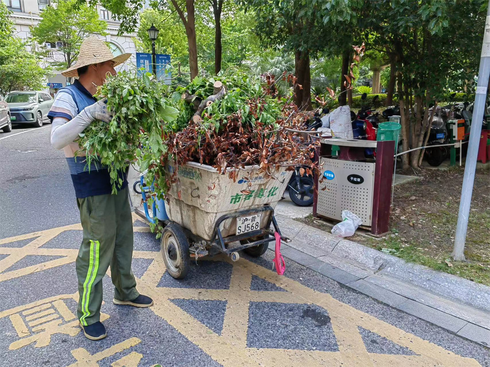 WechatIMG8dc3de0c1cdf324b07994c76499b9908.jpg WechatIMG8dc3de0c1cdf324b07994c76499b9908.jpg